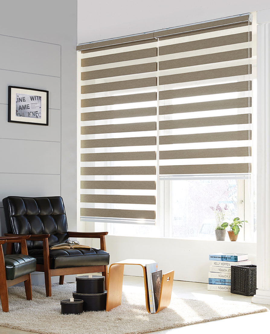 Product-Mild Combi-1 – Line Blinds